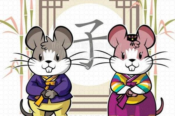 1996年鼠和1996年鼠婚配