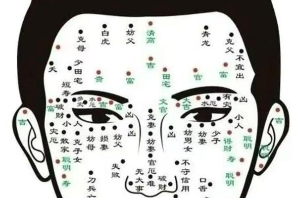 看痣相算命准不准,最准的痣相图解