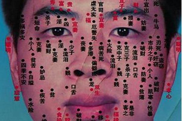 痣相龙的意思_龙痣代表的特征