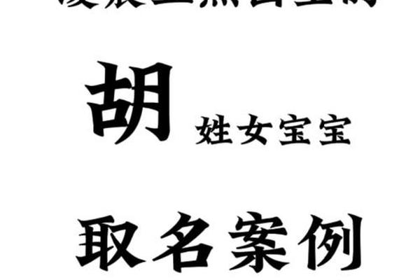 胡姓宝宝起名