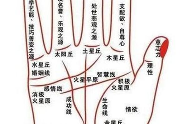 麻衣神相女性手上痣-麻衣神相女人面痣图解