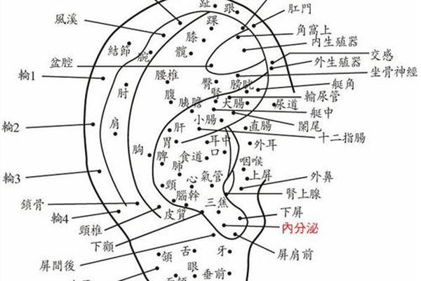 痣相相术分析痣相;耳朵痣相图解