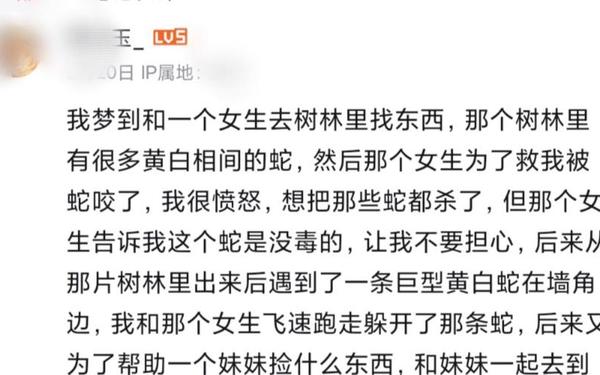 梦见把蛇打死了是什么预兆 女性,梦见蛇被自己打死 梦见把蛇打死了是什么预兆 女性,梦见蛇被自己打死