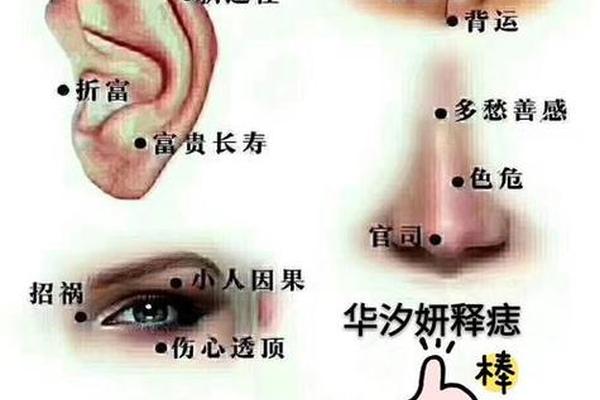 麻衣神相耳内有痣_耳朵有痣的命运 图解
