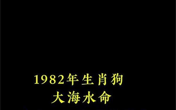 82年属狗今年多大_82年属狗的三大坎 82年属狗今年多大_82年属狗的三大坎