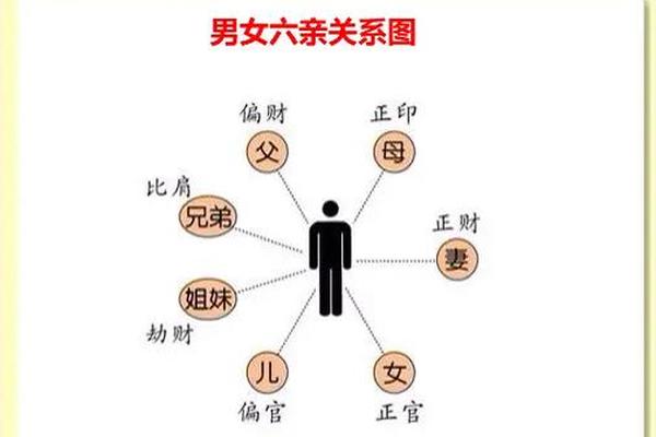 八字六亲表