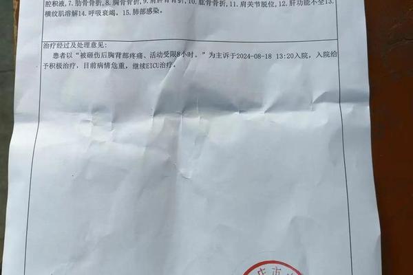 监护人姓名和孩子姓名怎么写