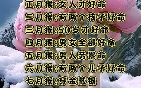属猴的哪一年出生最好命运女(属猴哪一年的最好) 属猴的哪一年出生最好命运女(属猴哪一年的最好)