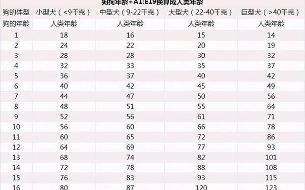 属狗的今年多大年龄 属狗的今年多大年龄