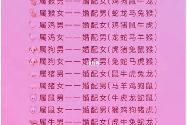 1984男属鼠1988女属龙