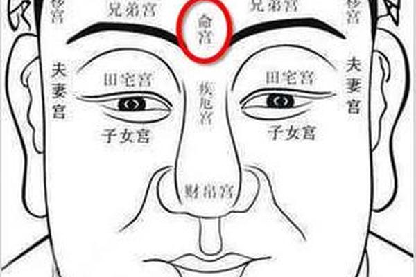 头顶痣相算命口诀-头顶上长痣命运图
