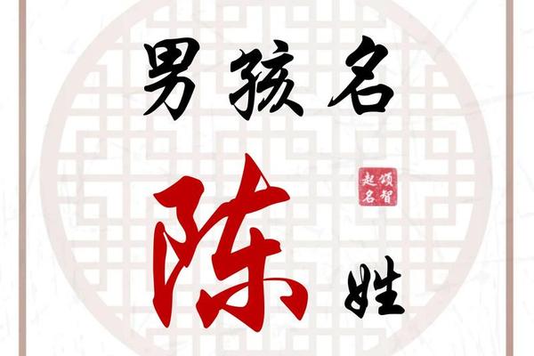 陈小猪姓名测试
