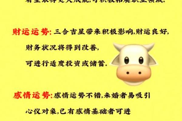 属牛的今年运气不好怎么办,2025属牛如何提升运势