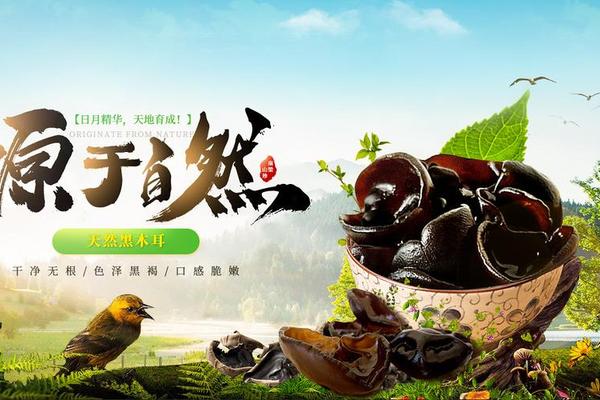 美食文化宣传与农产品、农产品宣传广告