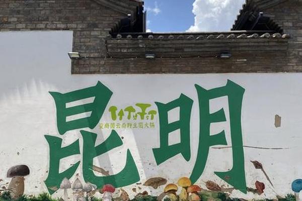 云南耕读文化传播有限公司、大理苍耕洱作公司