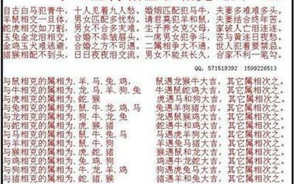 和属狗的最配的属相 和属狗的最配的属相