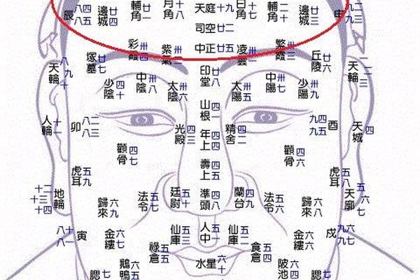天庭饱满痣相、面相中的天庭饱满是说的哪里