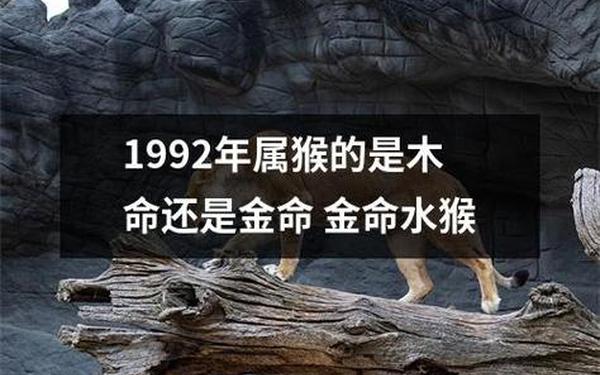 猴的克星第一名是谁 1992年属猴的克星 猴的克星第一名是谁 1992年属猴的克星
