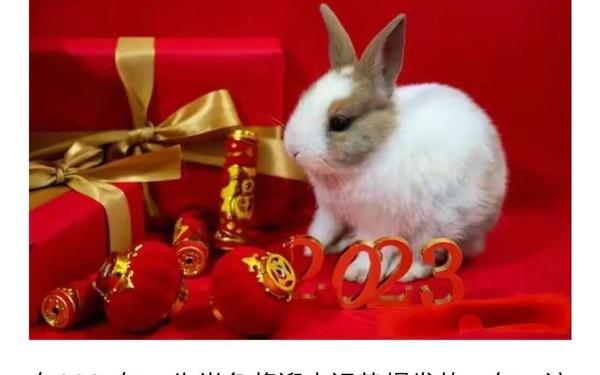 87年属兔性格优点和缺点 87年属兔性格优点和缺点