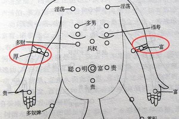 右边手臂痣相;右边胳膊有痣代表 右边手臂痣相;右边胳膊有痣代表
