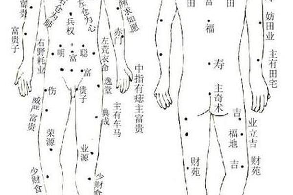 人体的痣相_人体全身痣相图解