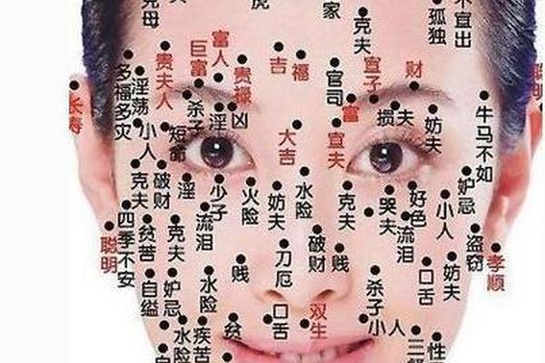 痣相真龙天子(面相痣龙代表什么意思)