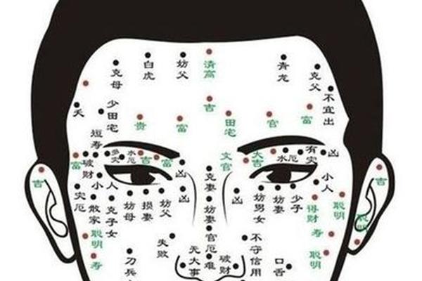 人体身上痣相 身体上长痣相图解大全
