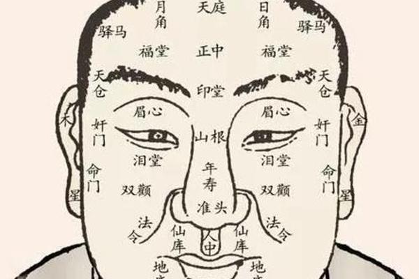 痣相风水学查询、数字风水学查询319