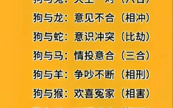 属狗人一生最克3个人的属相,属狗和哪些属相不合 属狗人一生最克3个人的属相,属狗和哪些属相不合