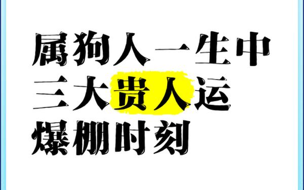 狗的贵人第一名 狗的贵人第一名