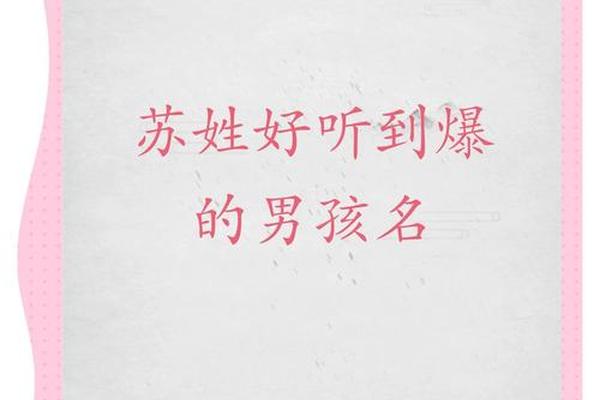 苏小宝姓名评分