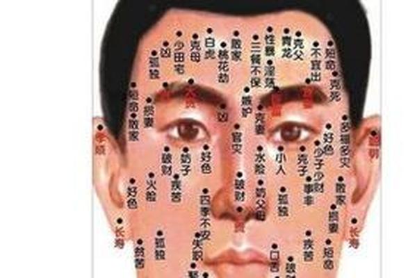 男人全身痣相解-全身痣相图解大全