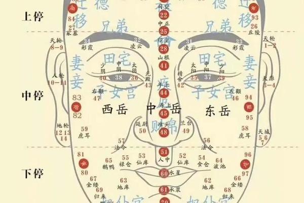 下巴有痣女相_女人长痣面相图