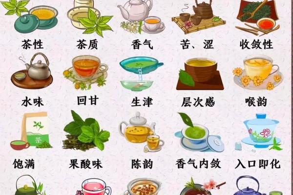 茶文化与品茶知识(茶的文化知识)