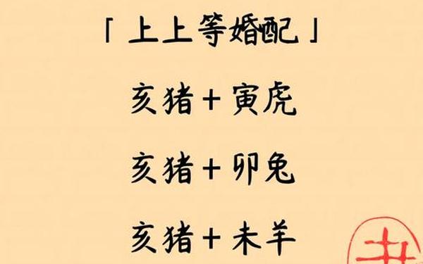 属猪的最佳婚配表（属猪女人的最佳丈夫）