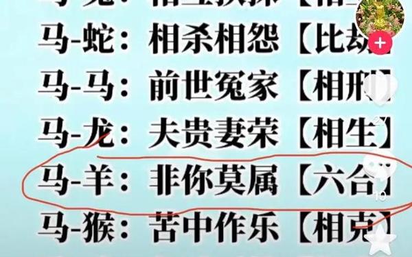 属马的最佳婚配对象 属马的最佳婚配对象