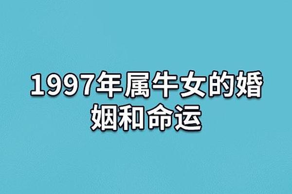 属牛的今年的婚姻如何—97年属牛女孩子姻缘