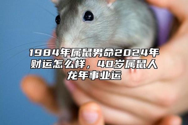 2022年鼠人运程1984年