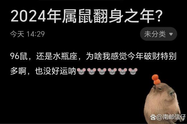 96属鼠人2024年全年运势运程