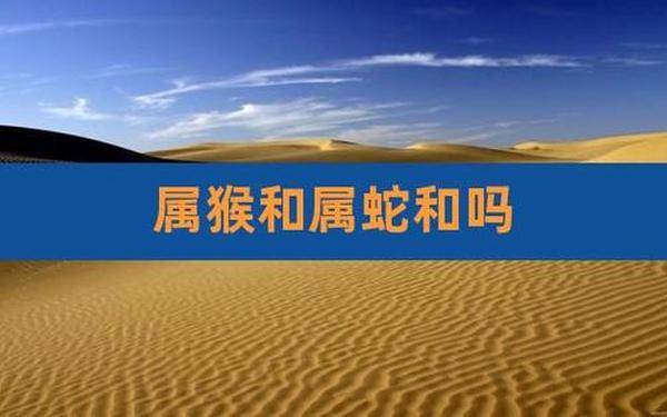 属猴和属蛇合作好不好 属蛇与属猴的在事业上合作好不好 属猴和属蛇合作好不好 属蛇与属猴的在事业上合作好不好