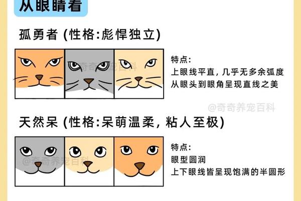 猫痣相 猫的面相好不好怎么区别