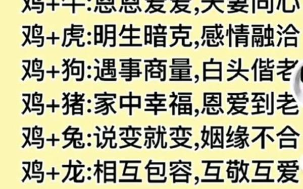 1981年属什么生肖属相的婚姻,鸡的婚姻生肖配对 1981年属什么生肖属相的婚姻,鸡的婚姻生肖配对