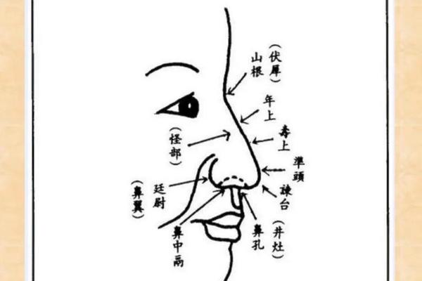 男人鼻子寿上痣相最准图—男人鼻子山根有痣