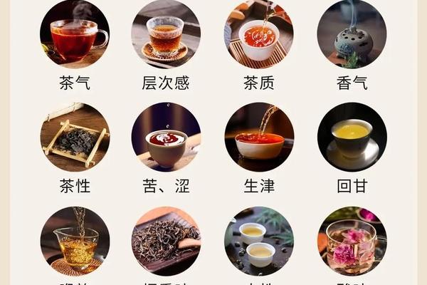 传统茶文化国学经典有哪些 茶叶的传统文化