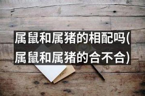 71年男猪和72年女鼠相配吗婚姻