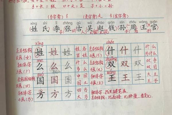 姓名W加姓名X组词