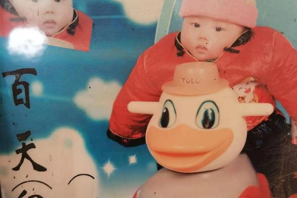 2008年的鼠一生学业怎么样