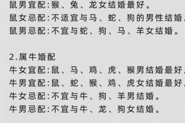 94女狗和96男鼠结婚好不好