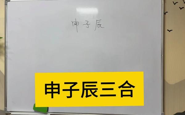 辰和什么相合最好 辰和什么相合最好