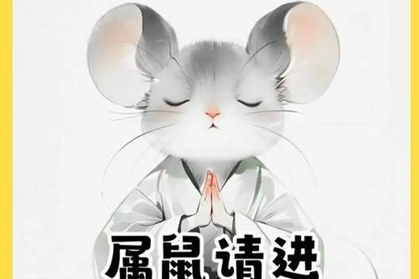 72年女鼠2025年有啥喜事